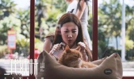 二代妖精之今生有幸在线观看